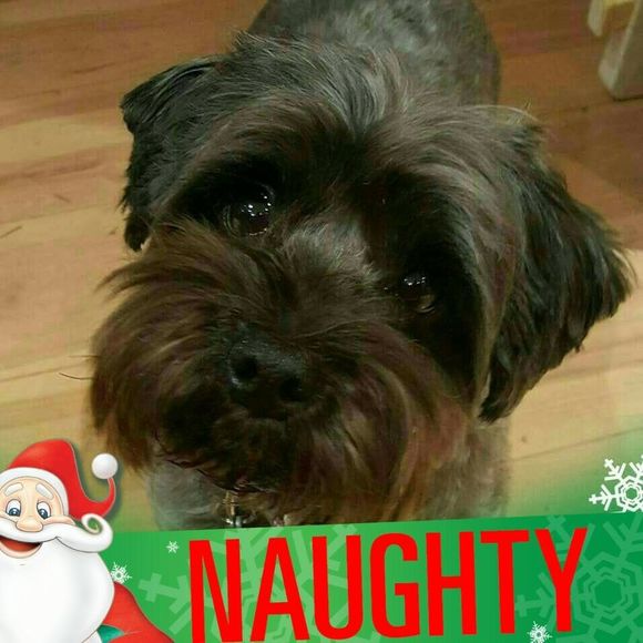 Meet your Posher, Andrea - Picture 1 of 1